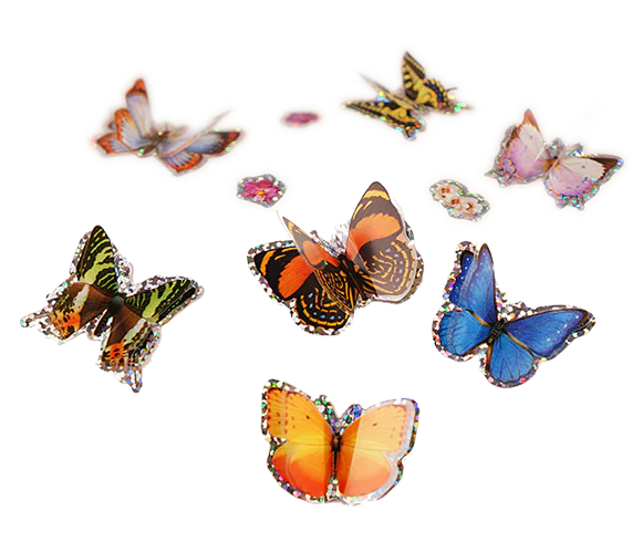 3D Butterfly Stickers by Insect Lore - Image 5