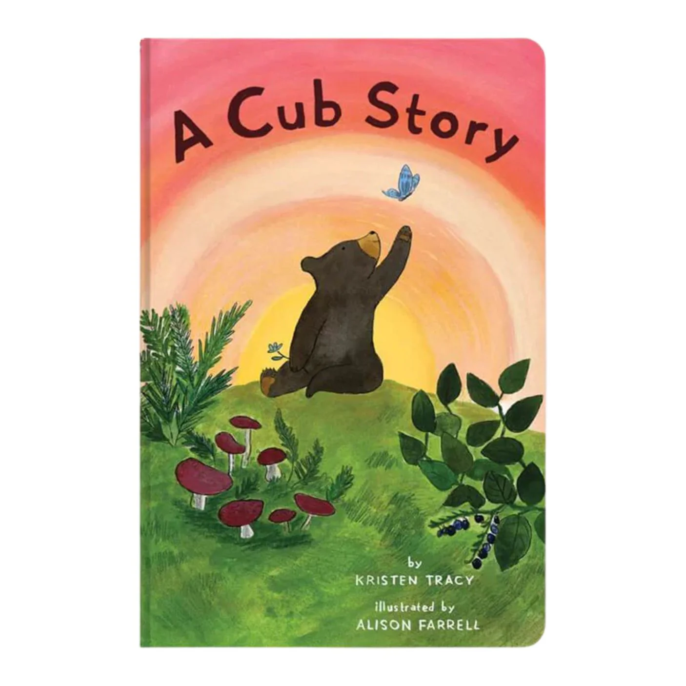 A Cub Story - Board Book