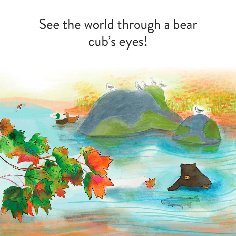 A Cub Story - Board Book - Image 3