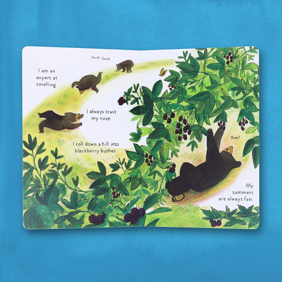 A Cub Story - Board Book - Image 6