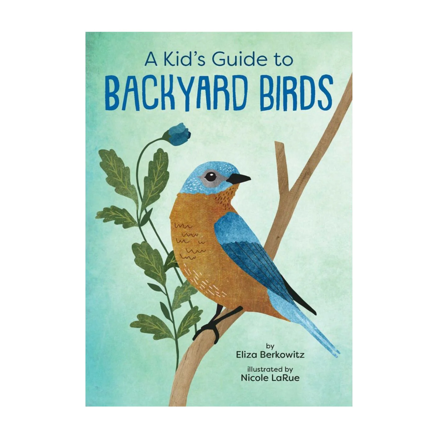 A Kid's Guide to Backyard Birds - Paperback