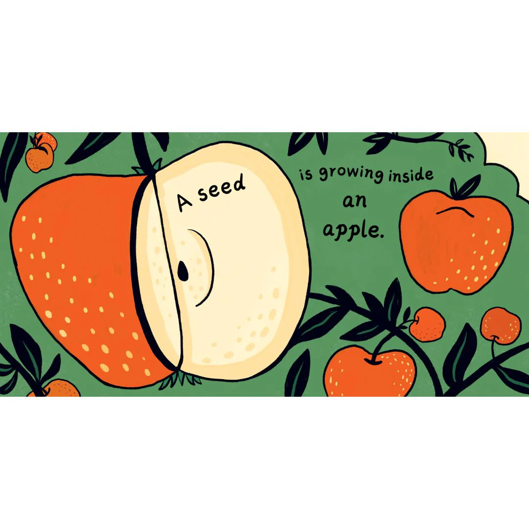 A Seed in the Universe - Hardcover - Image 2