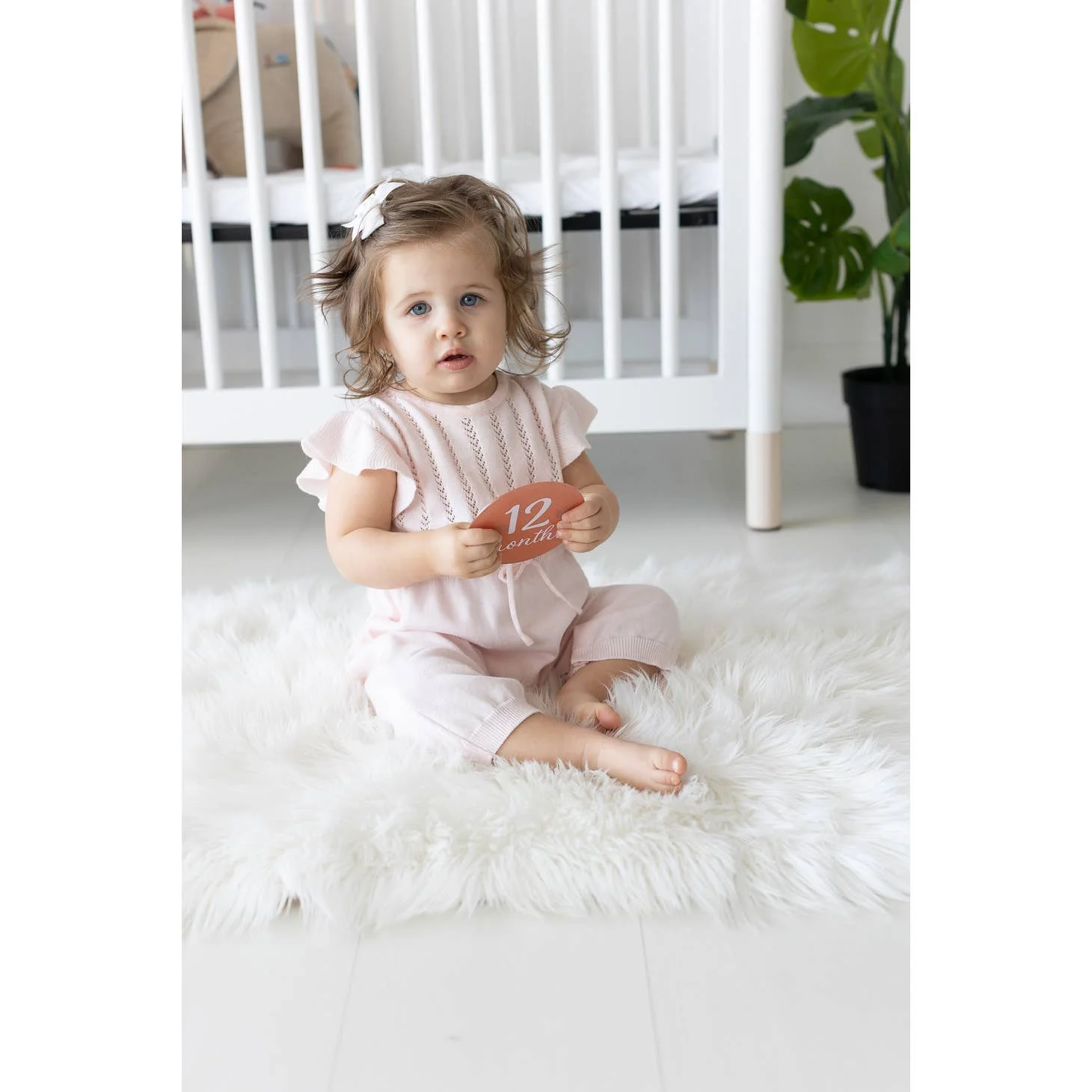Acrylic Monthly Milestone Prop Photo Cards - Blush by Pearhead - Image 4