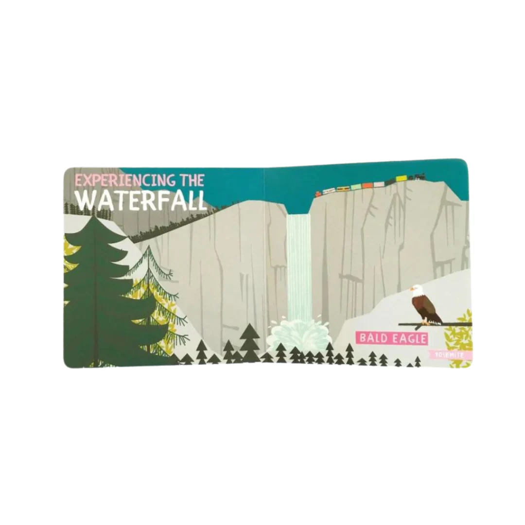 All Aboard! More National Parks : A Wildlife Primer - Board Book - Image 2