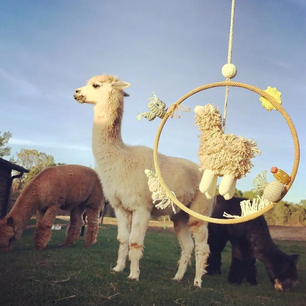 Alpaca Dream Ring Mobile by Blabla - Image 3