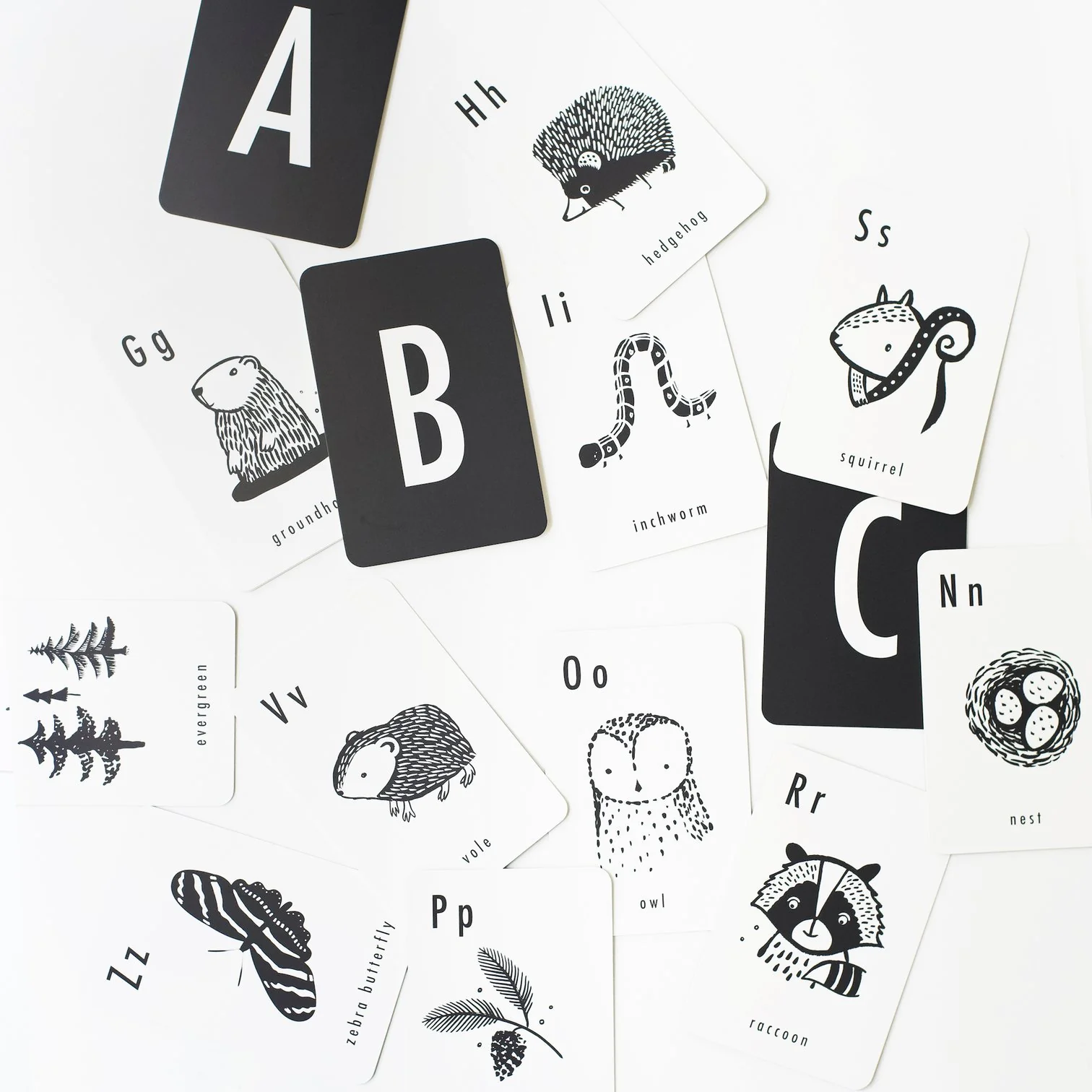 Woodland Alphabet Cards by Wee Gallery - Image 5