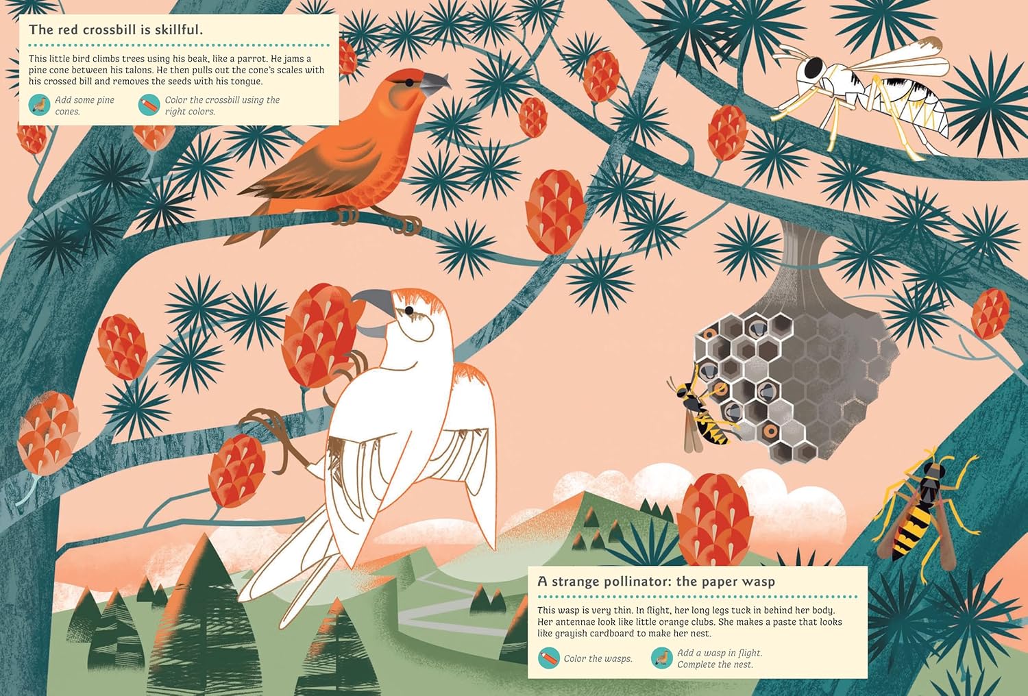 Animals of the Mountains: My Nature Sticker Activity Book - Image 4