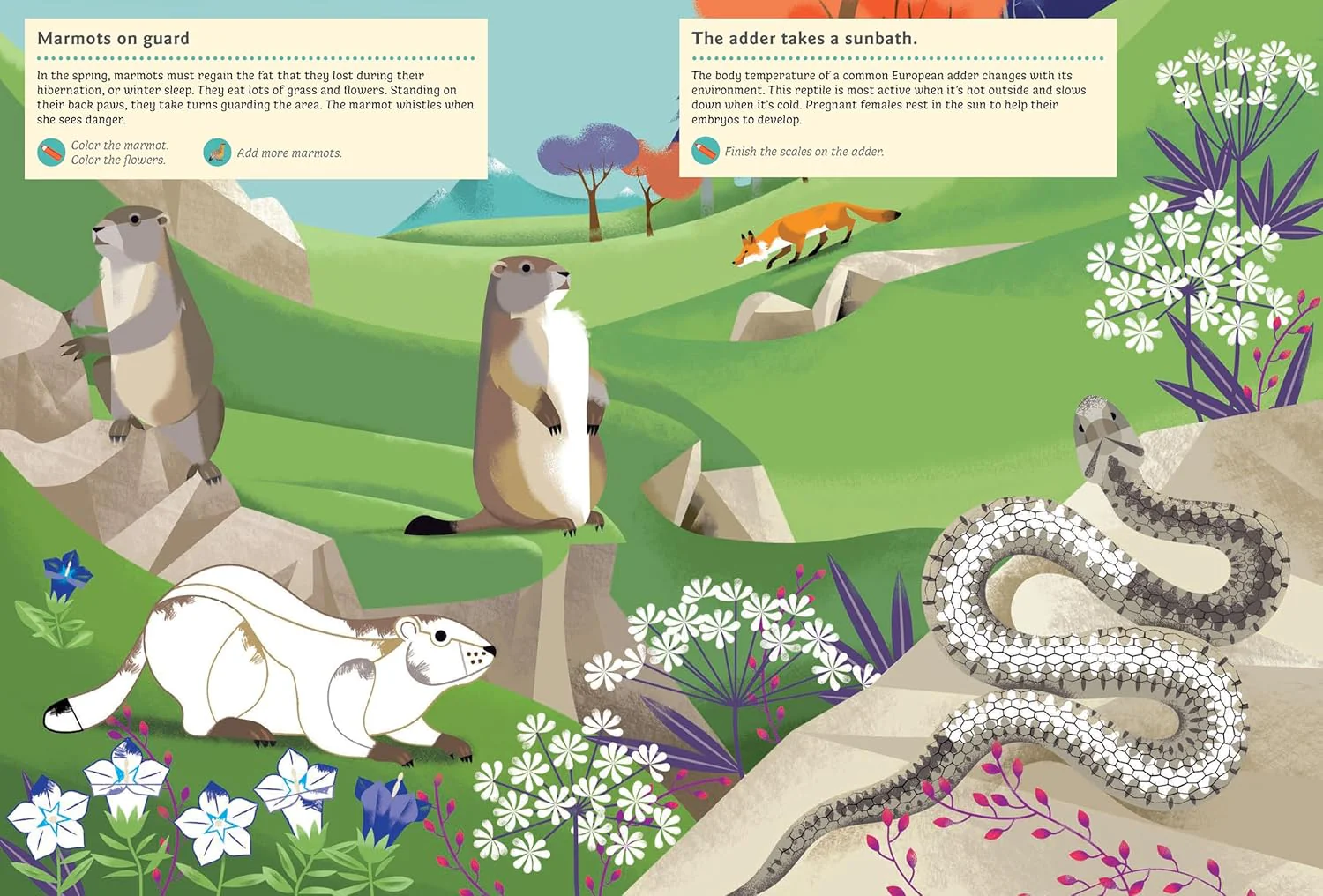 Animals of the Mountains: My Nature Sticker Activity Book - Image 5