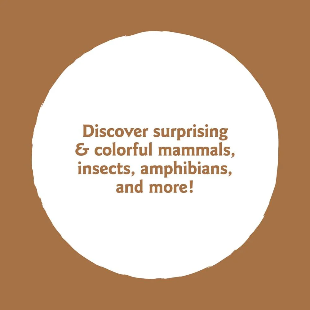 Animals of the Mountains: My Nature Sticker Activity Book - Image 7