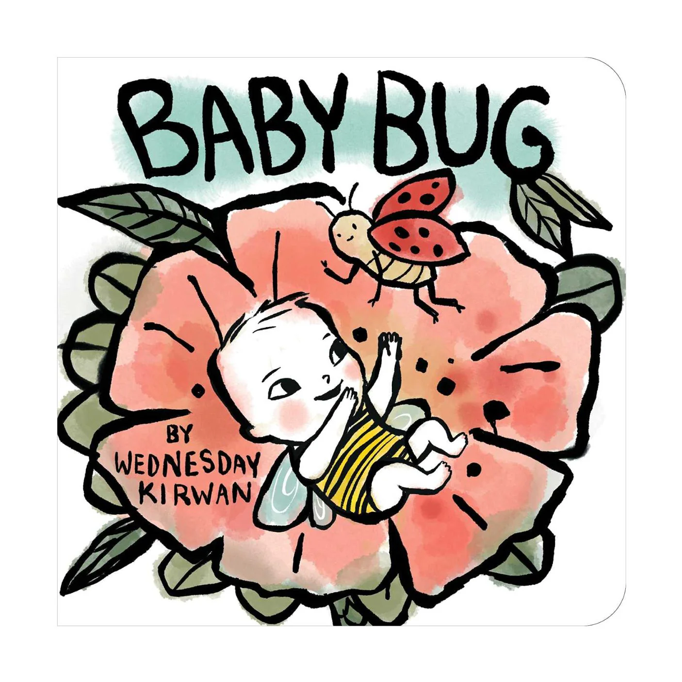 Baby Bug - Board Book