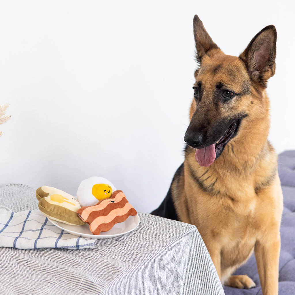 Barkfast Dog Toys - Set of 3 by Pearhead - Image 2
