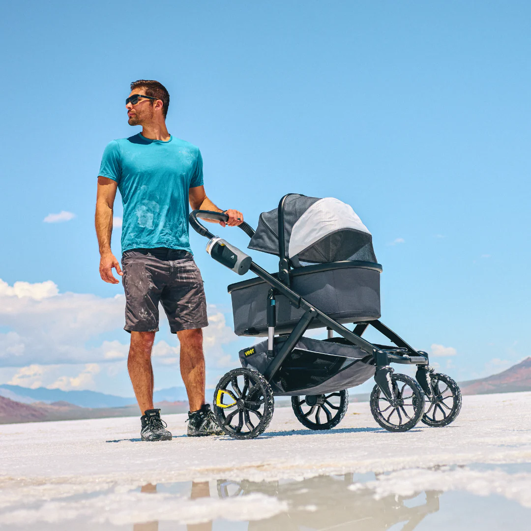 Bassinet for Switchback by Veer - Image 2