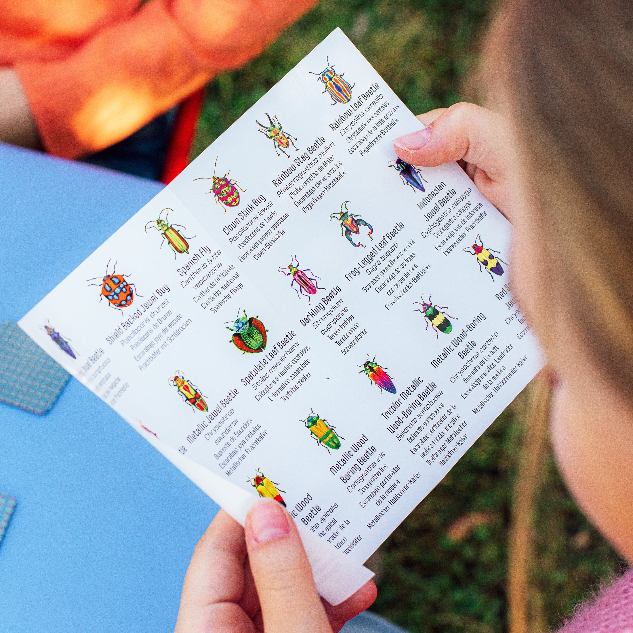 Beetles Little Matching Game by Eeboo - Image 3