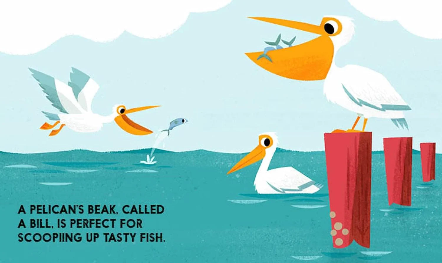 Birdblock - Board Book - Image 5