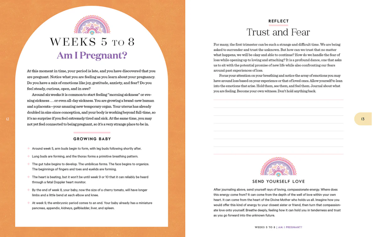 Birthing Mama - Paperback - Image 3