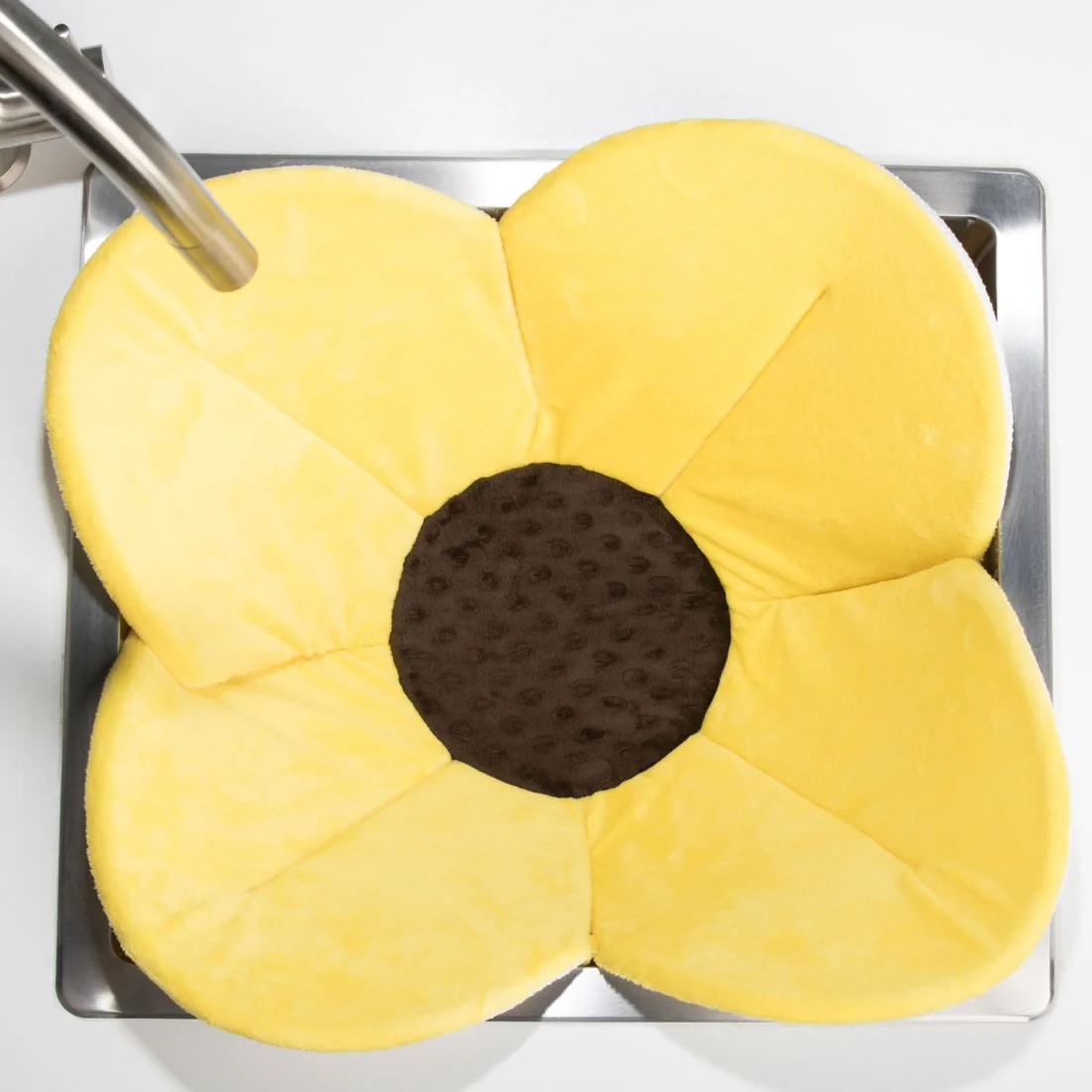 Blooming Bath Poppy - Yellow