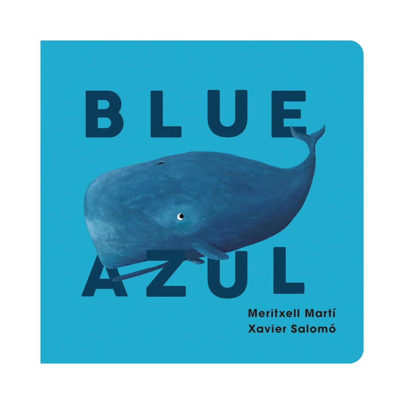 Blue - Azul - Board Book