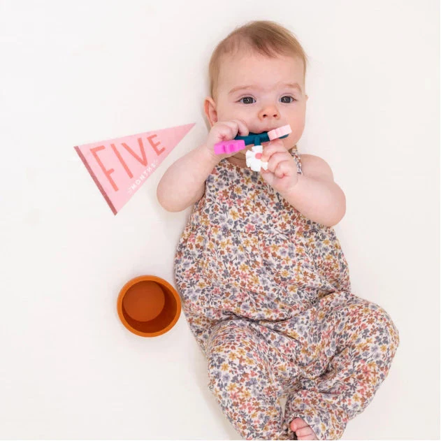 Blushing Meadow Petit Milestone Pennant by Lucy Darling - Image 3