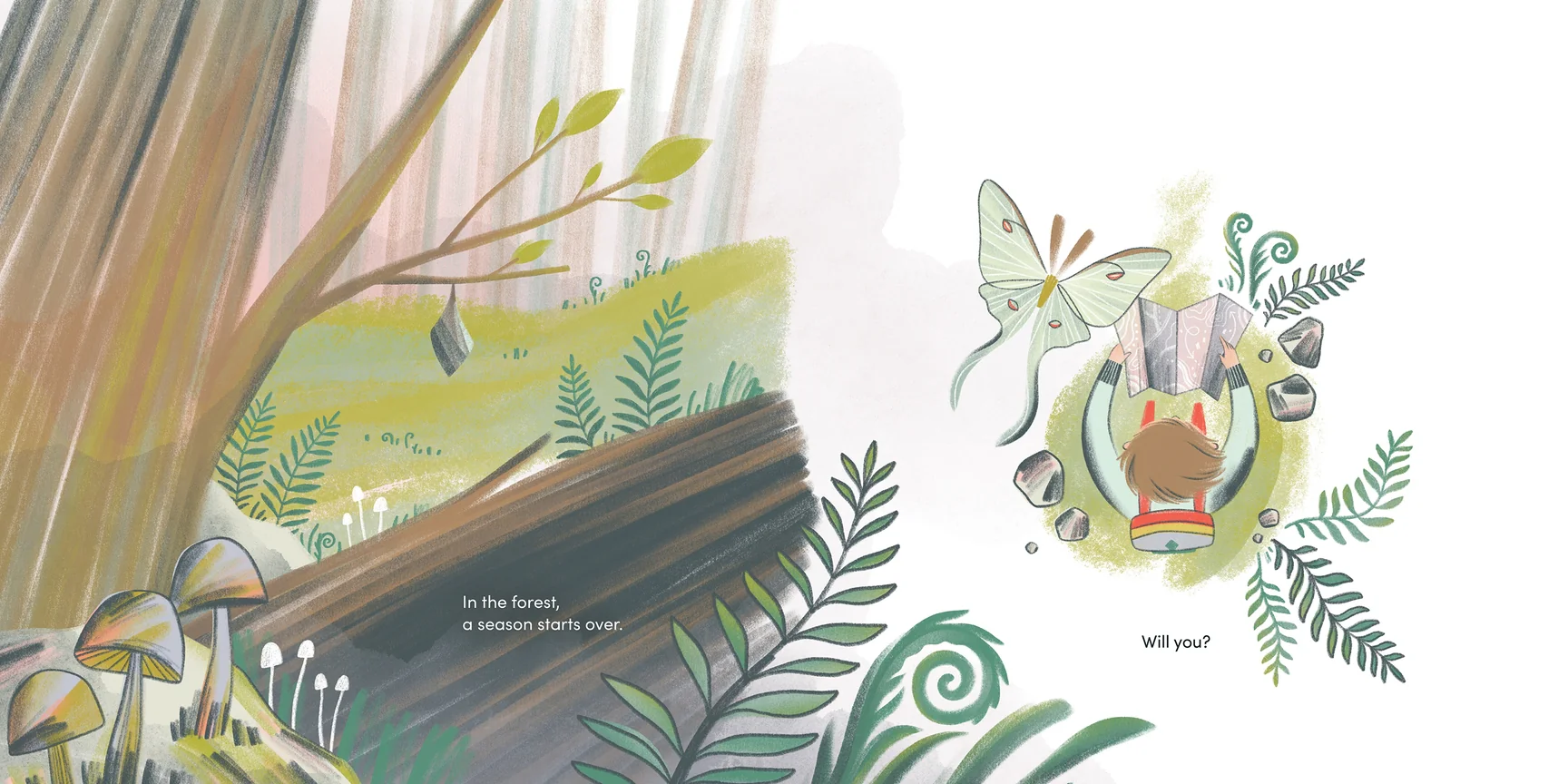 Brave Like Fireweed - Hardcover - Image 8