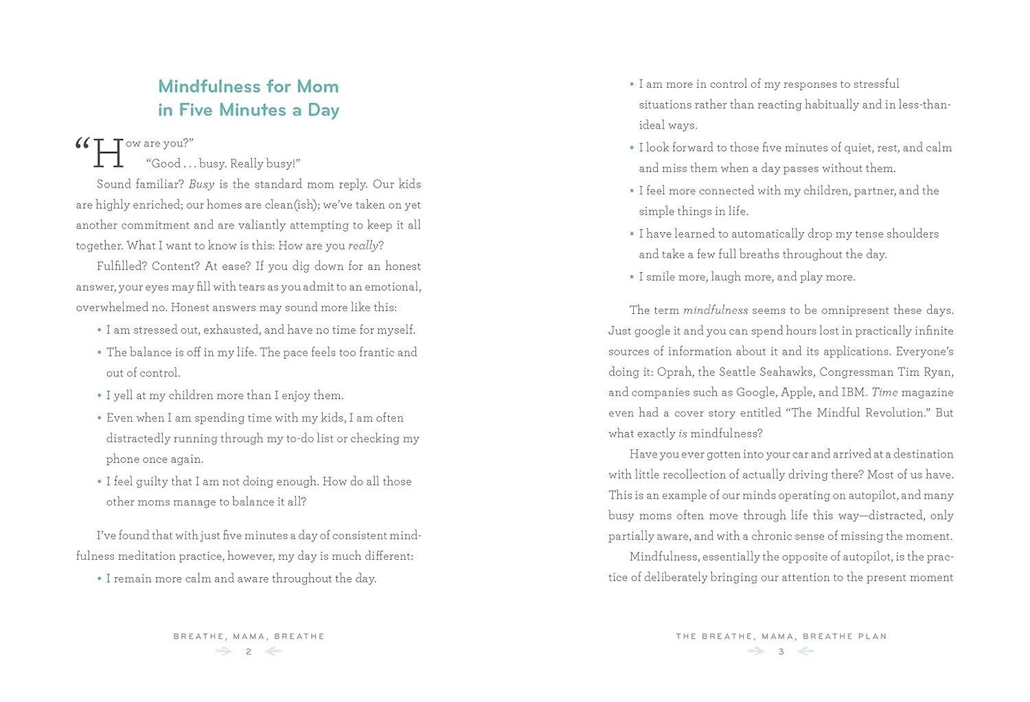 Breathe, Mama, Breathe - Paperback - Image 5