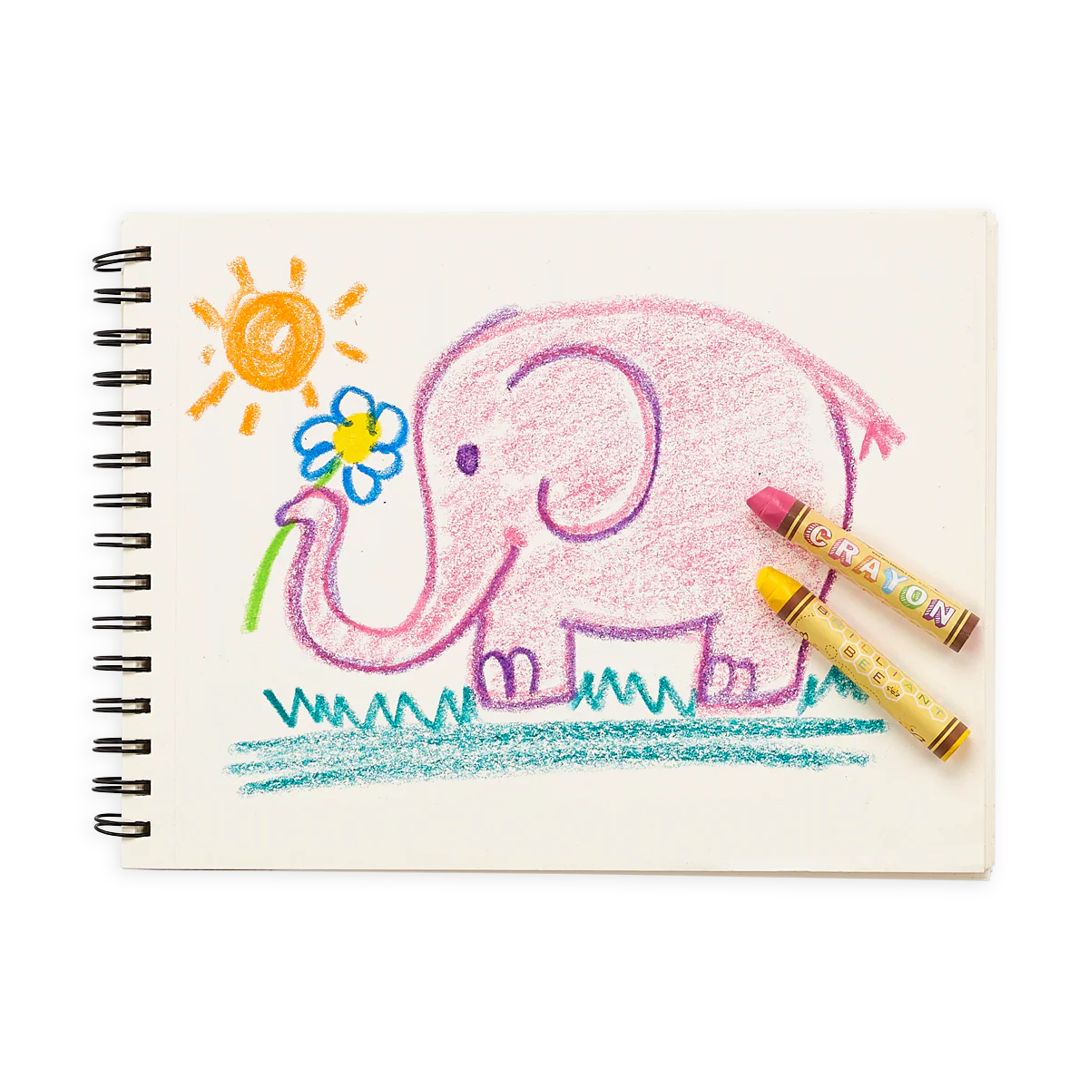 Brilliant Bee Crayons - Set of 12 by OOLY - Image 7
