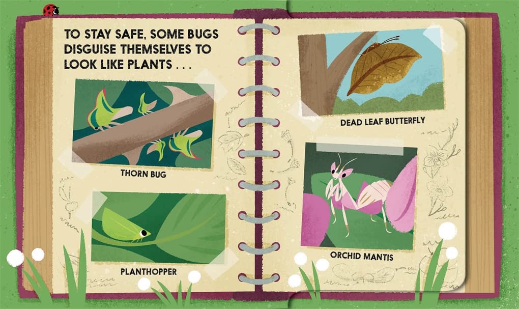 Bug Block - Board Book - Image 4