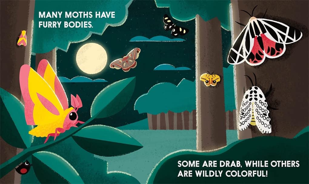 Bug Block - Board Book - Image 6