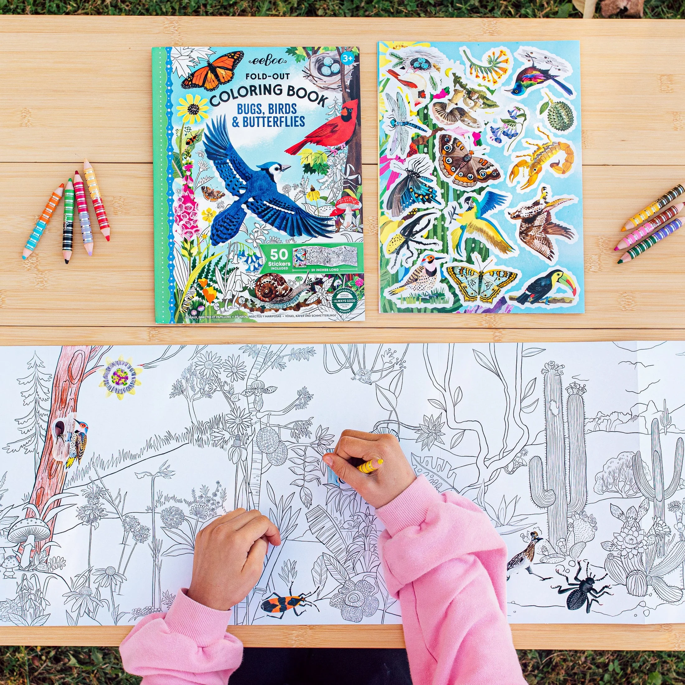 Bugs, Birds, & Butterflies Fold-Out Coloring Book by Eeboo - Image 2
