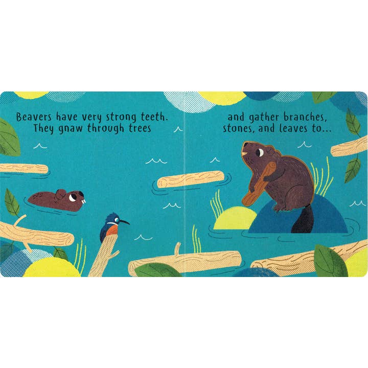 Build It - Little Nature Board Book - Image 2