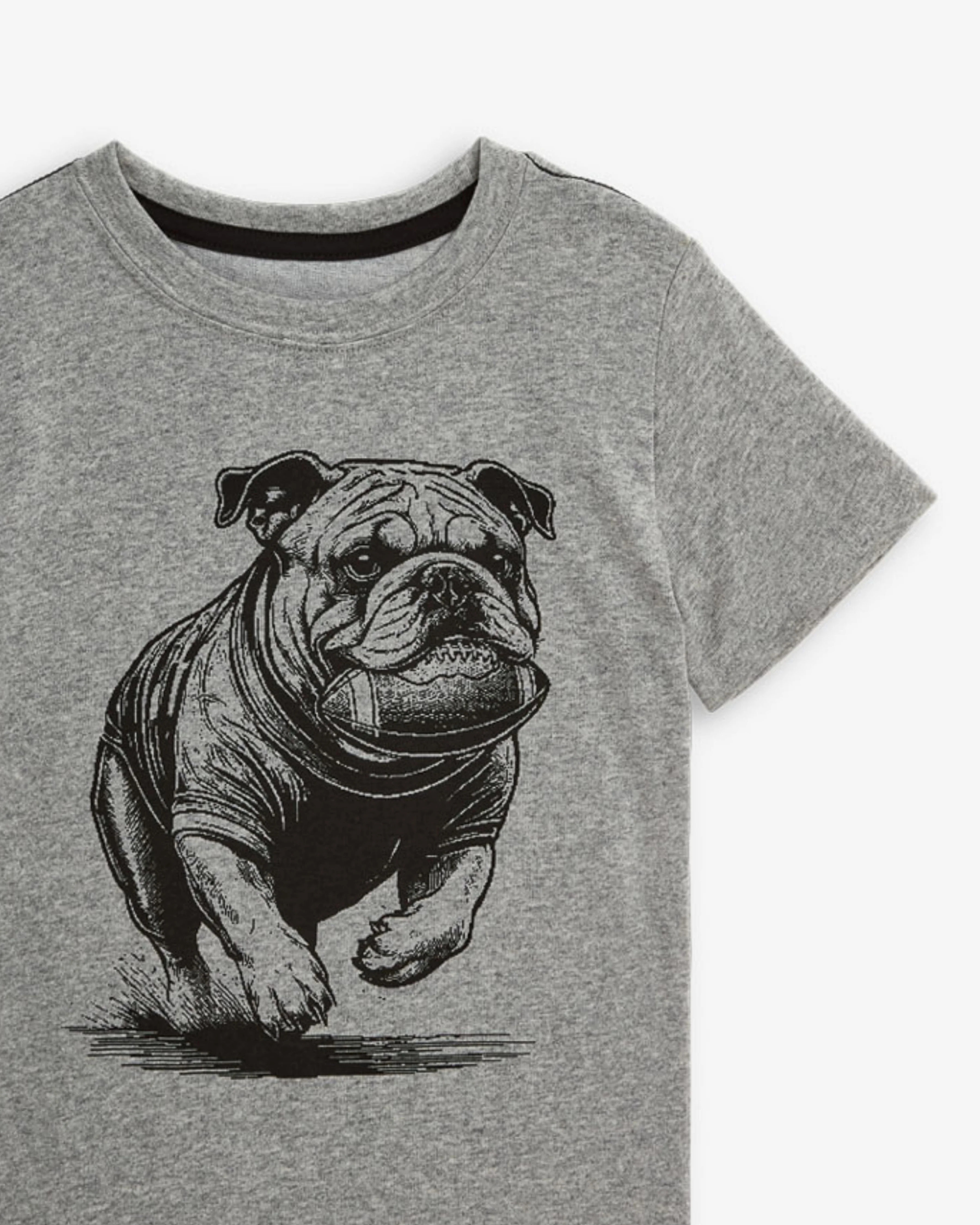 Bulldog & Football Graphic Tee - Grey Heather by Appaman - Image 2