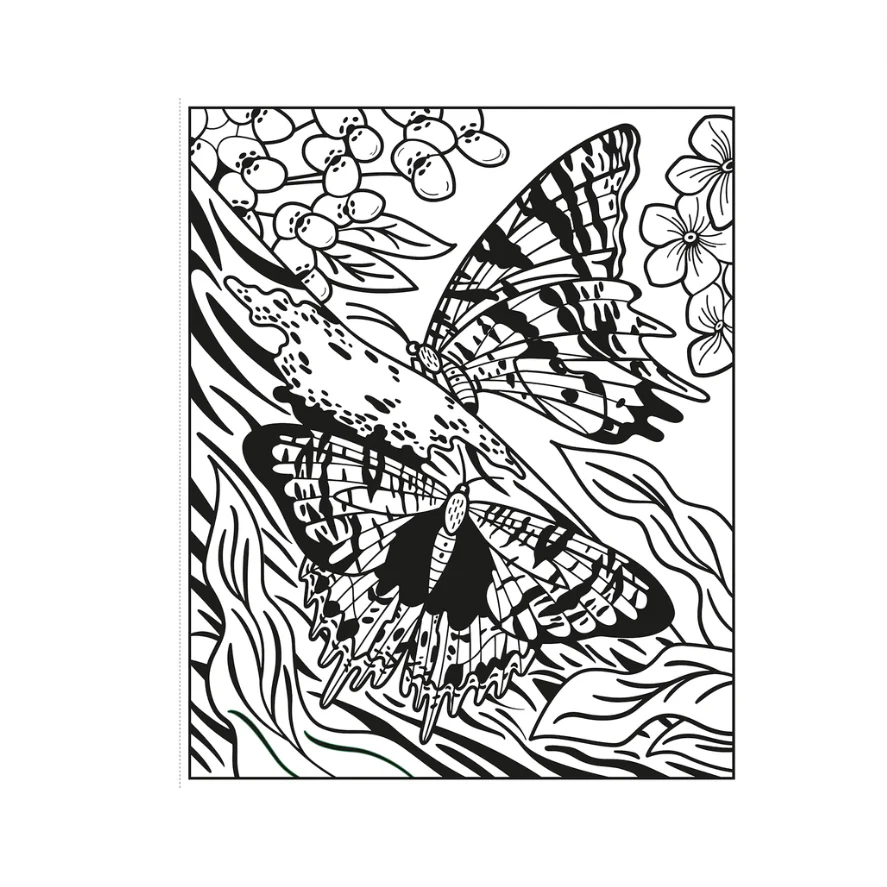 Butterflies Magic Painting Book - Image 2