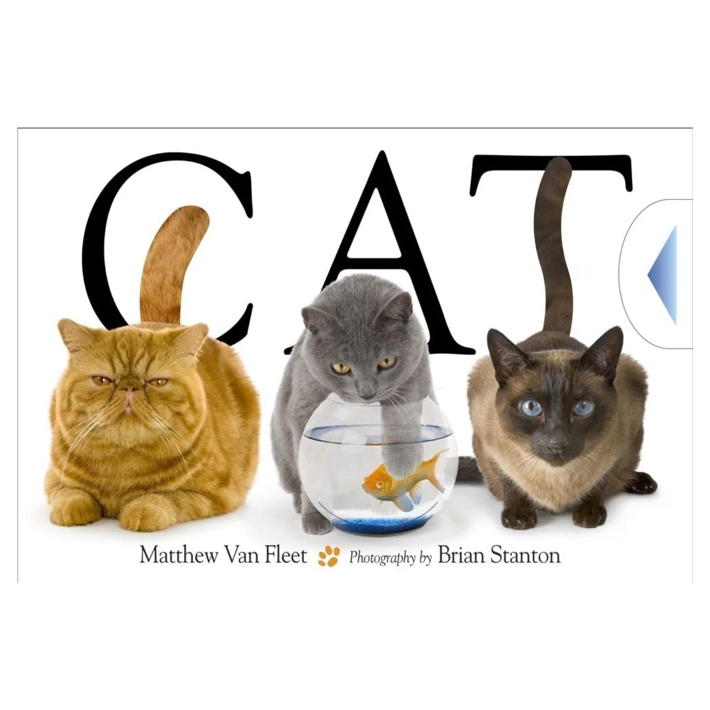 Cat - Interactive Hardcover