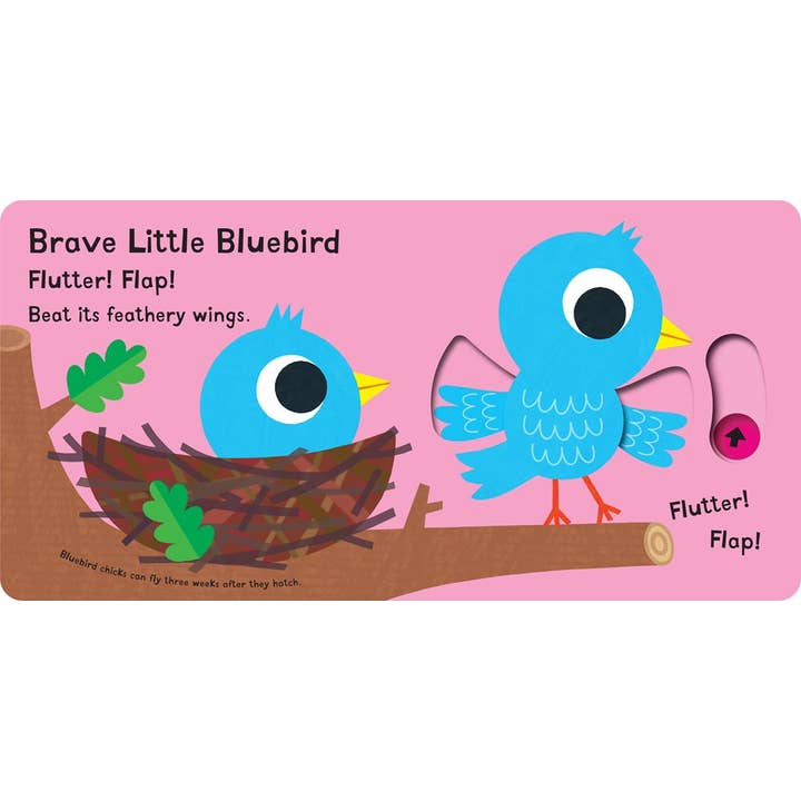 Chirp! Chirp! I'm A Chick - Board Book - Image 3