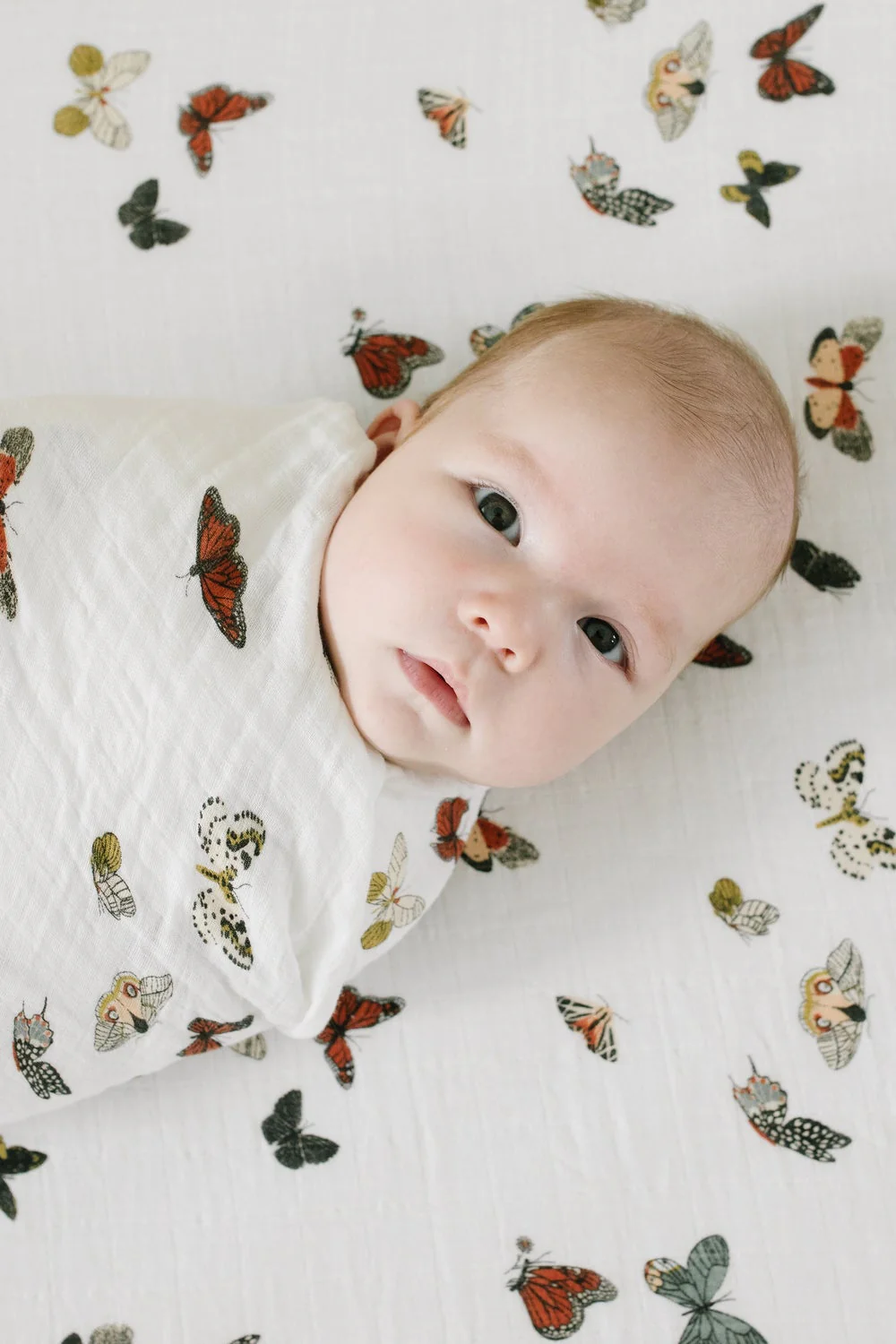 Cotton Muslin Crib Sheet - Butterfly Migration by Clementine Kids - Image 2