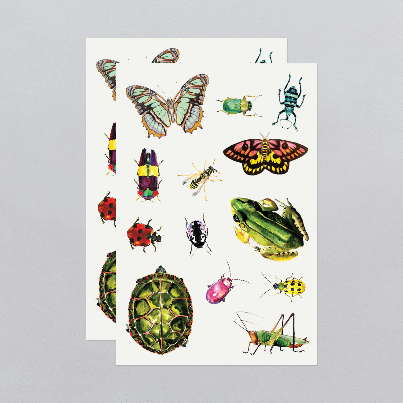 Critters on the Move Tattoo Sheets - Set of 2 by Tattly - Image 5