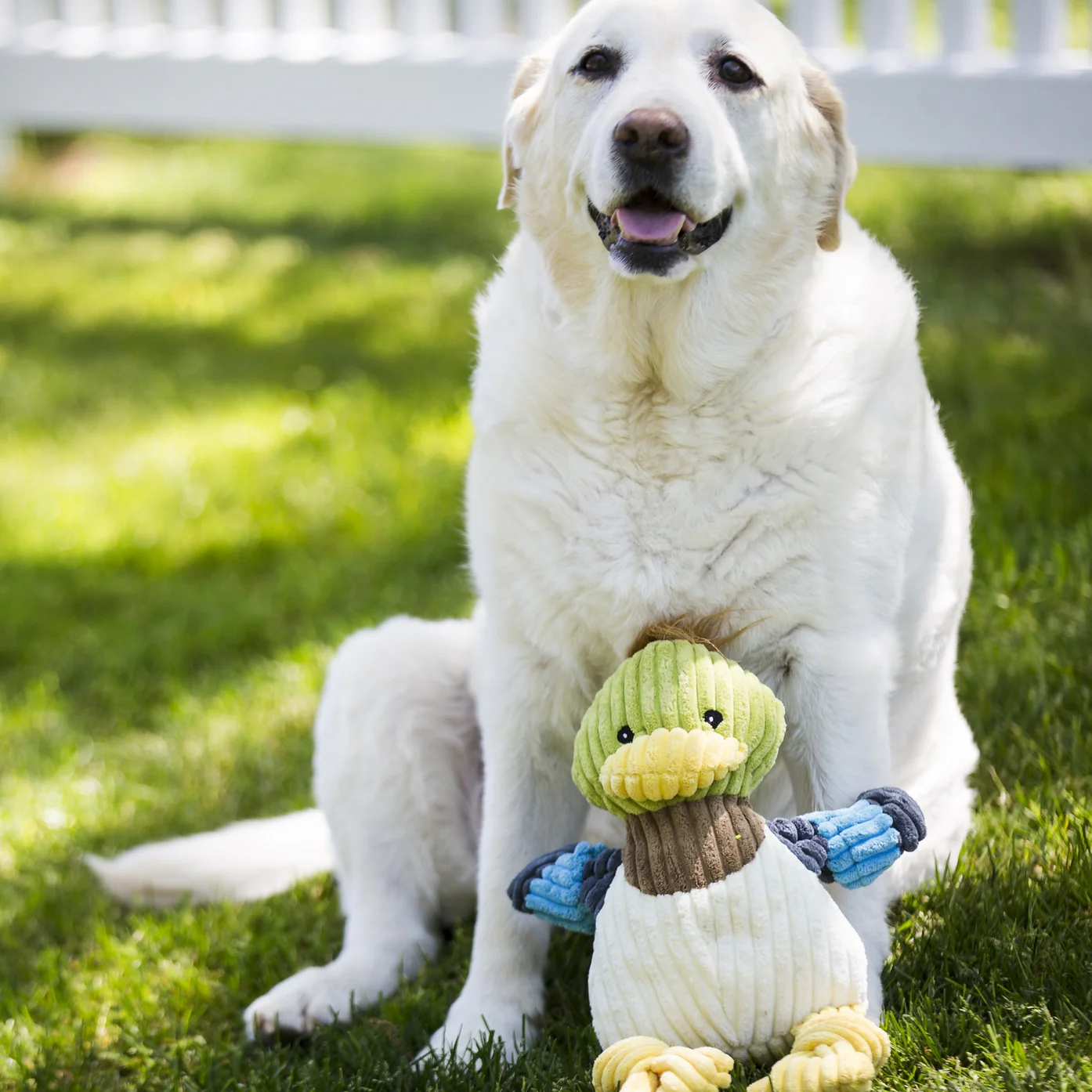 Dilly Duck Knottie Plush Dog Toy by Hugglehounds - Image 4