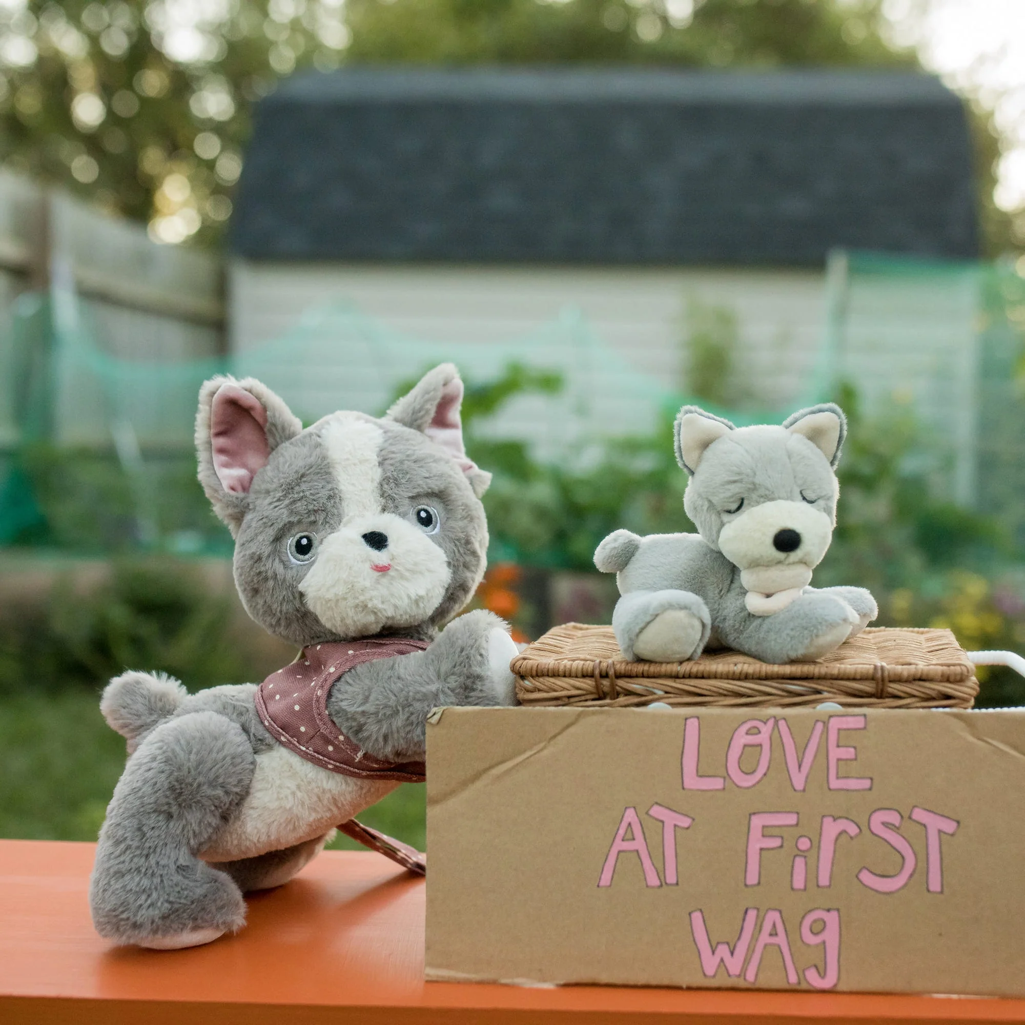 Dinkum Dog - Gizmo (Grey) by Dinkum Dolls - Image 4