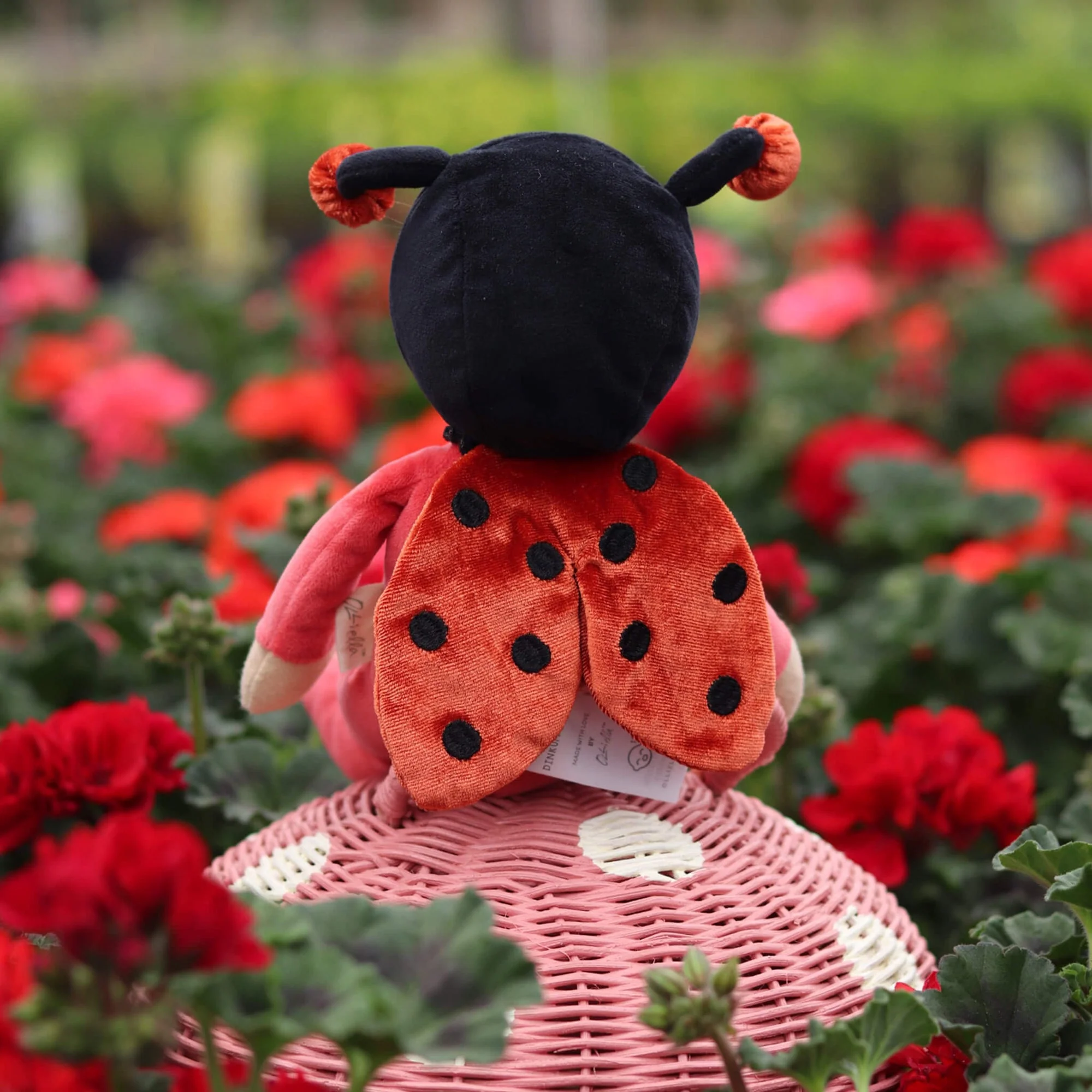 Dinky Dinkum Doll - Lola Ladybug by Dinkum Dolls - Image 2