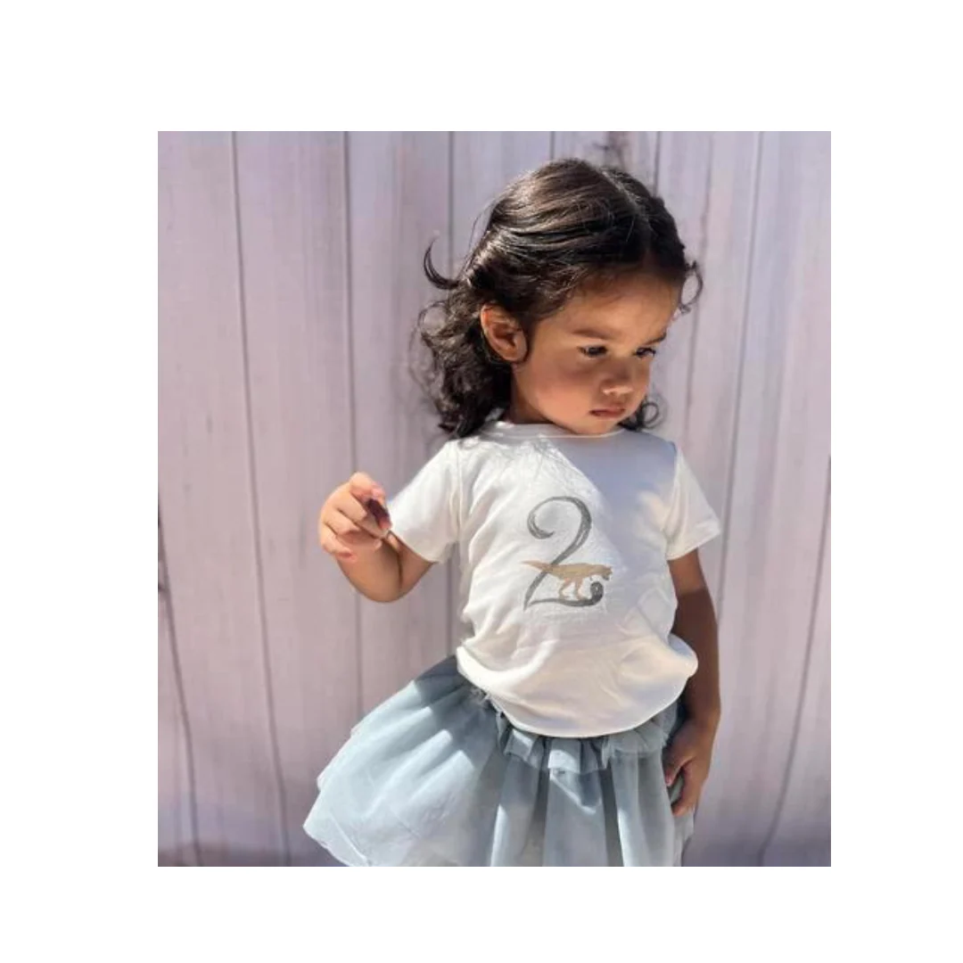 Dinosaur Birthday Tee by Tiny Victories - Image 12