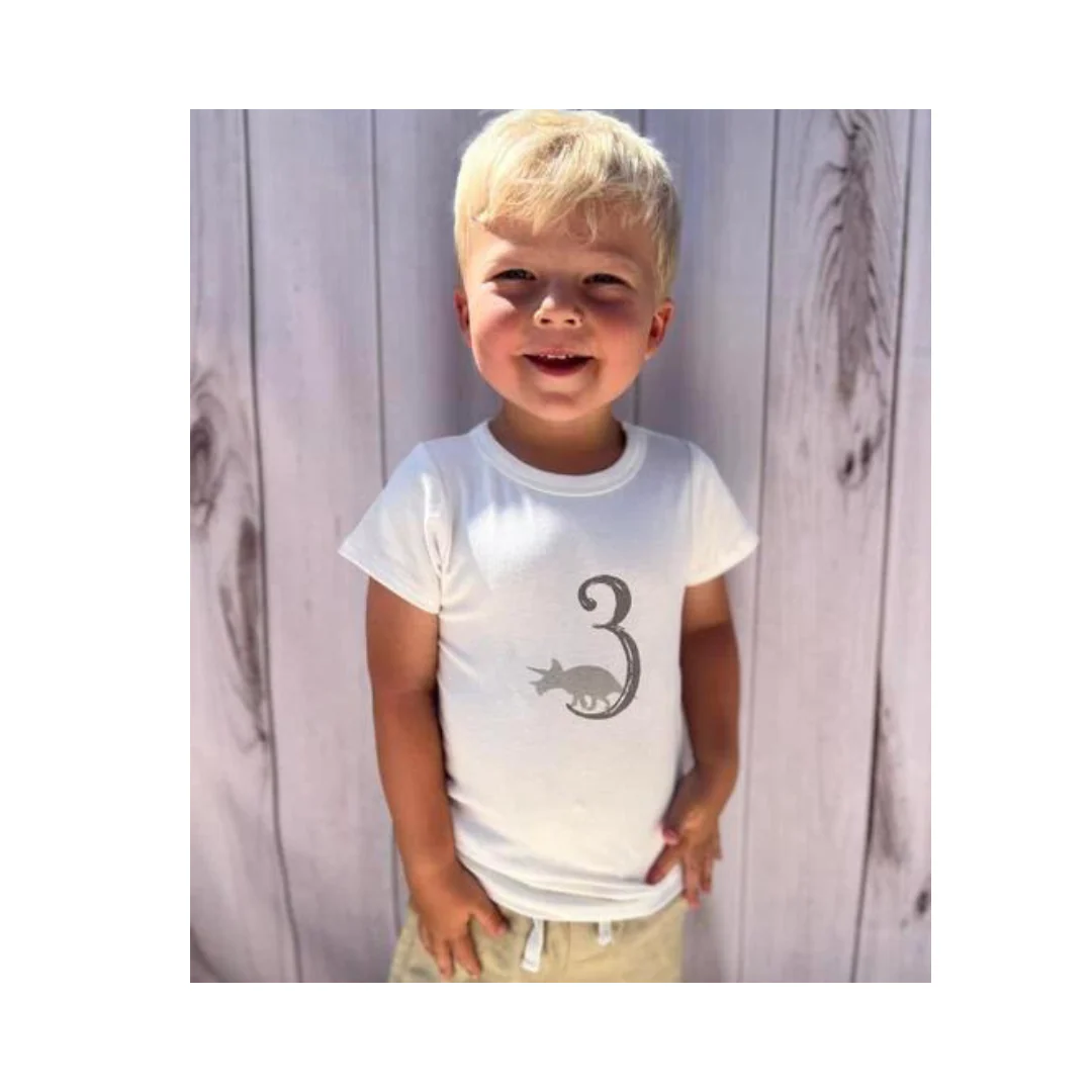 Dinosaur Birthday Tee by Tiny Victories - Image 13