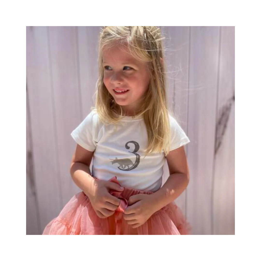 Dinosaur Birthday Tee by Tiny Victories - Image 15