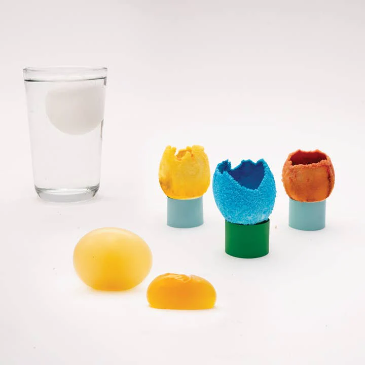 DIY Eggsperiments Kit for Kids by KiwiCo - Image 4