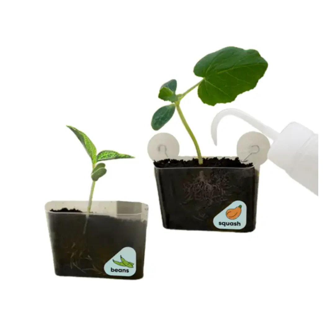 DIY Window Garden Kit for Kids by KiwiCo