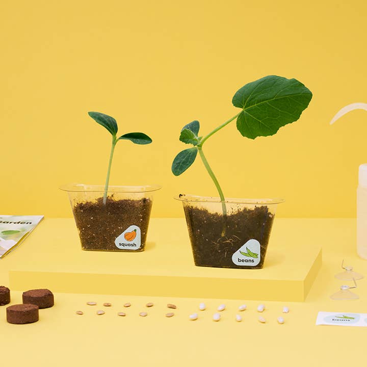 DIY Window Garden Kit for Kids by KiwiCo - Image 3