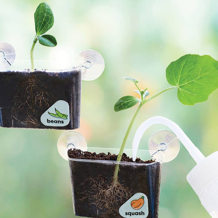DIY Window Garden Kit for Kids by KiwiCo - Image 4