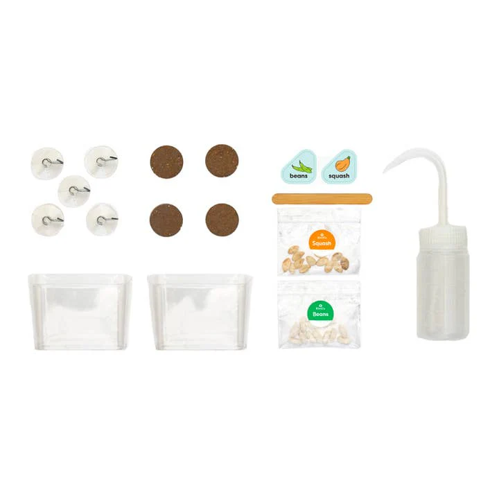 DIY Window Garden Kit for Kids by KiwiCo - Image 5