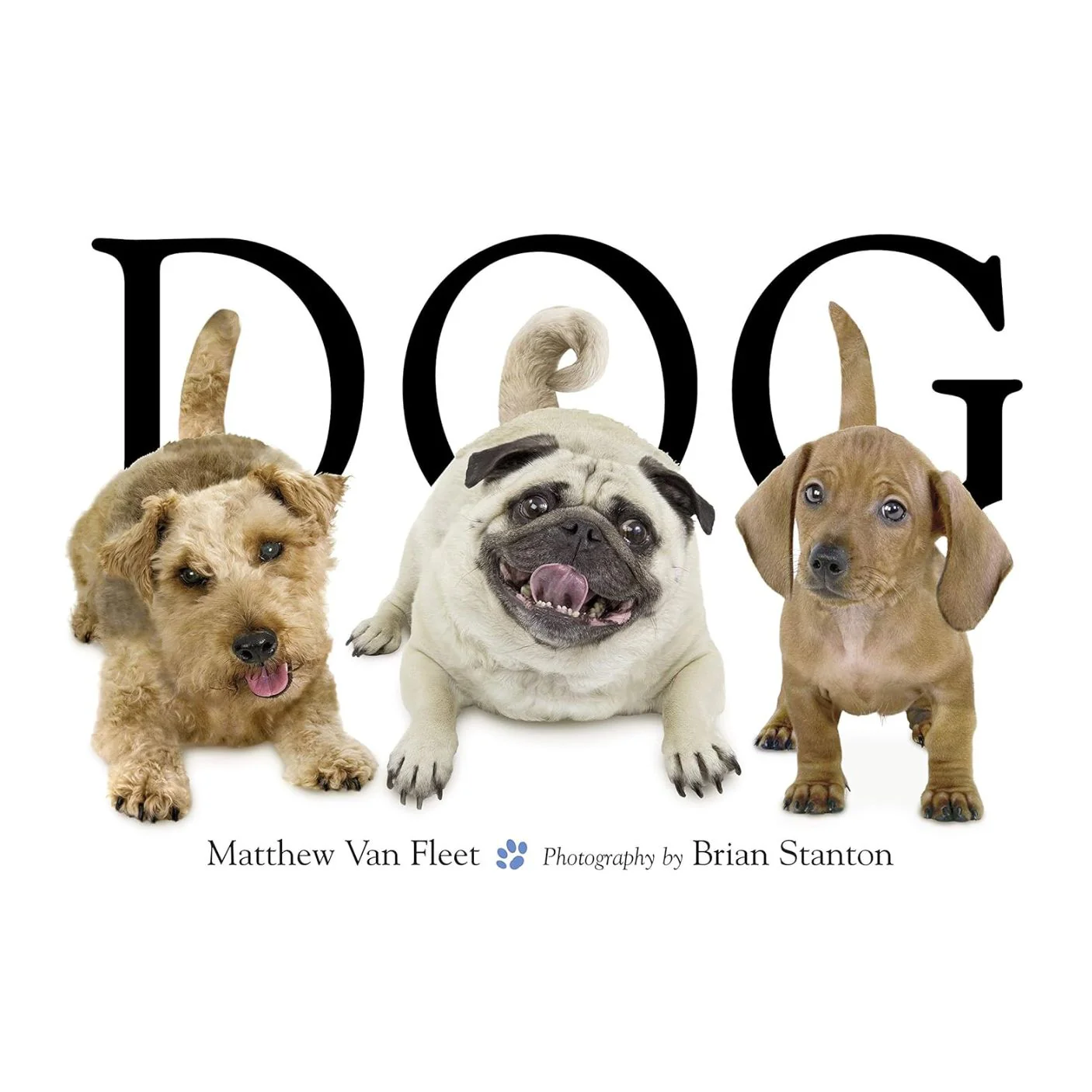 Dog - Interactive Hardcover