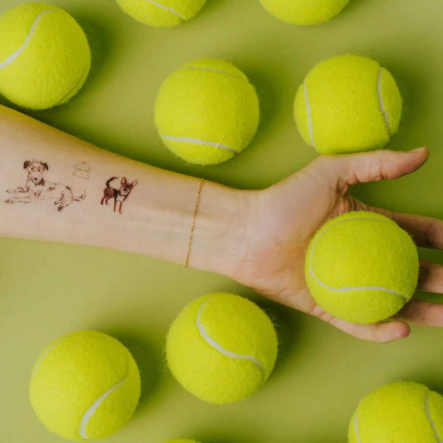 Dog Park Tattoo Sheet - Set of 2 by Tattly - Image 3