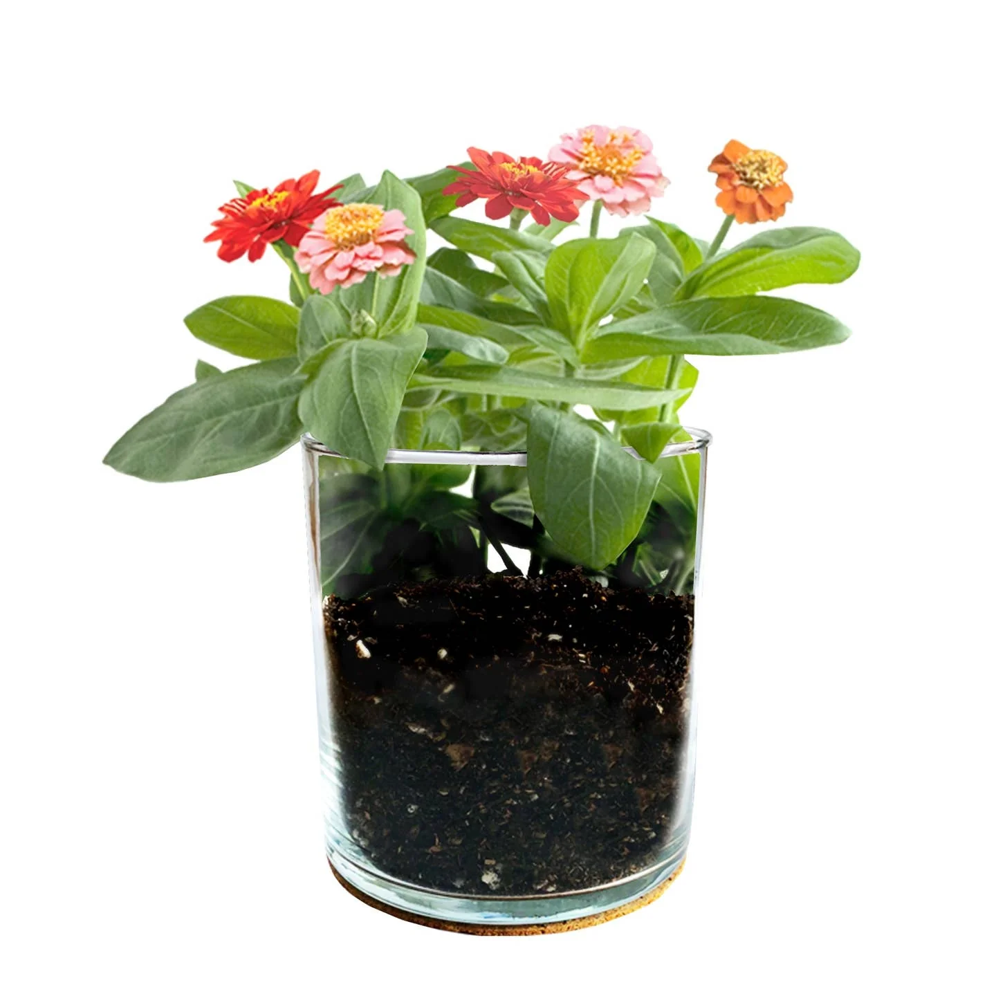 Essential Flower Garden - Mom by Potting Shed Creations - Image 4