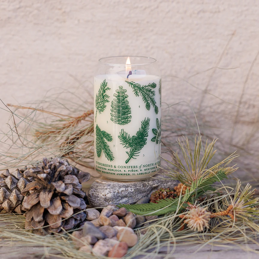 Evergreens & Conifers Soy Candle - Forest Floor Collection by Good & Well Supply Co. - Image 3